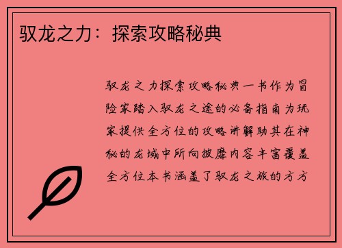 驭龙之力：探索攻略秘典